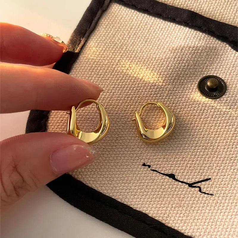 Glossy Metal Irregular Geometric Earrings My Store